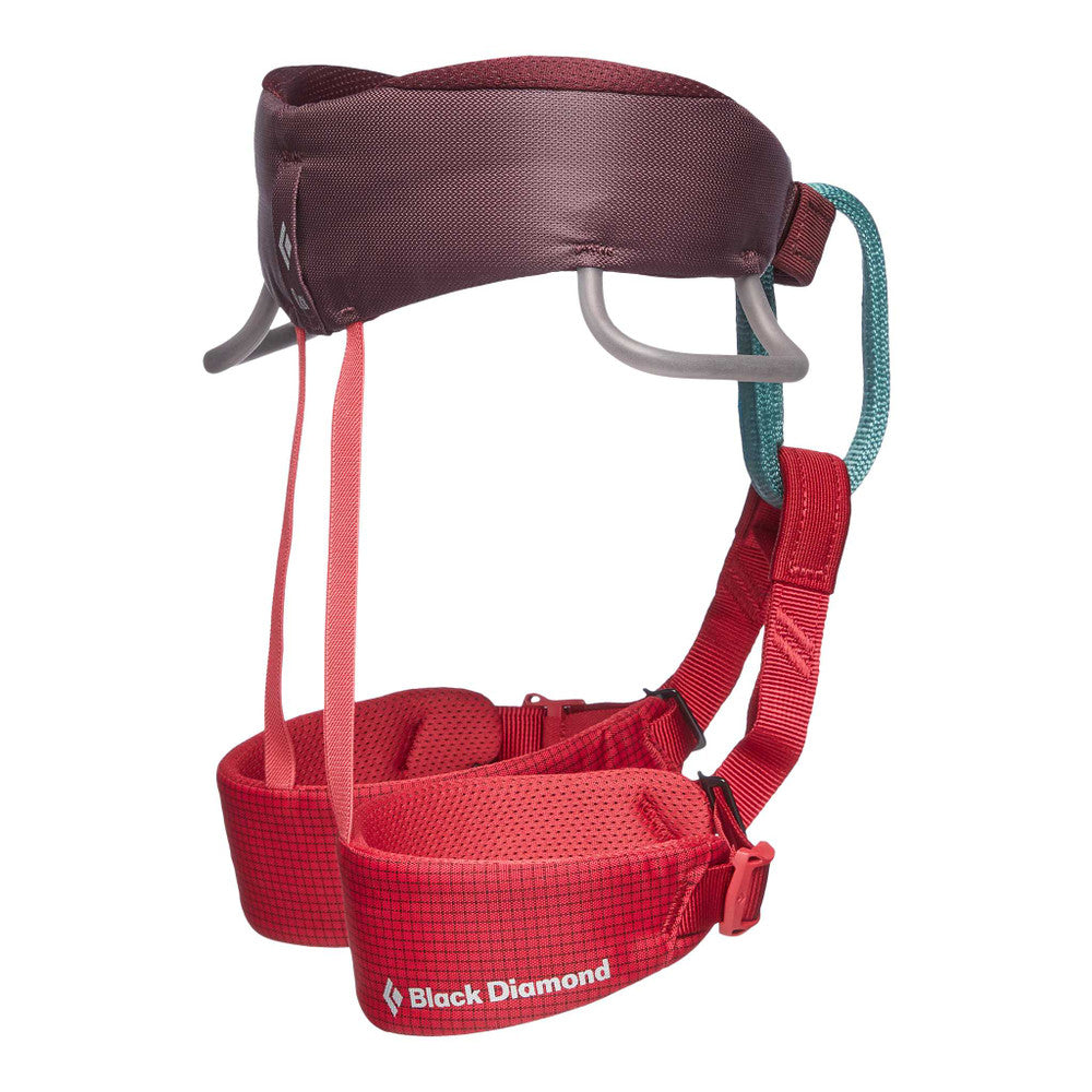 OTROŠKI PLEZALNI PAS MOMENTUM HARNESS