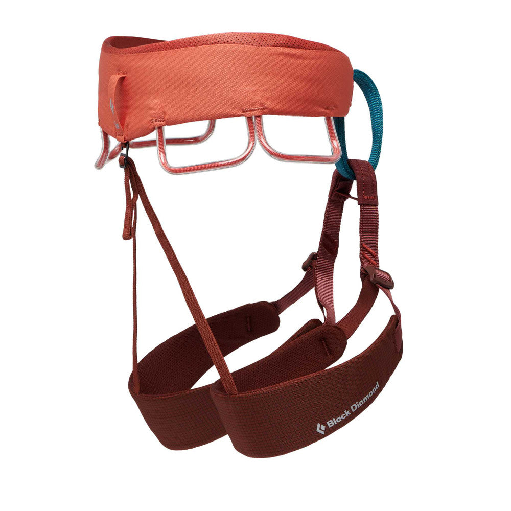 ŽENSKI PLEZALNI PAS MOMENTUM HARNESS